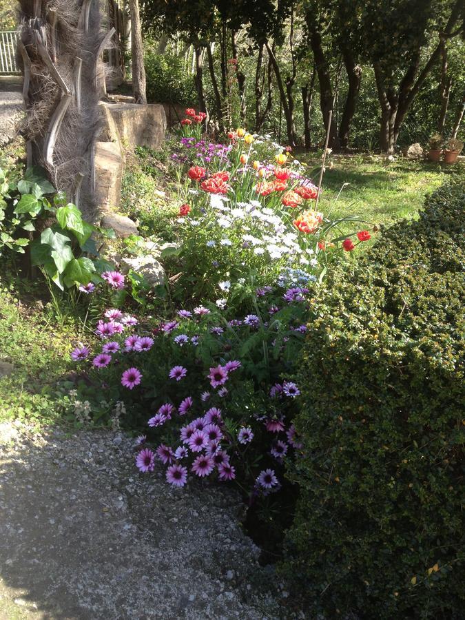 L'Ecrin D'Osely Bed & Breakfast Lodeve Luaran gambar